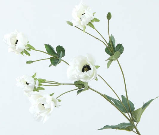 دار Peony - گوڵی ساختە