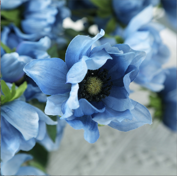 Tree Peony - False Flowers
