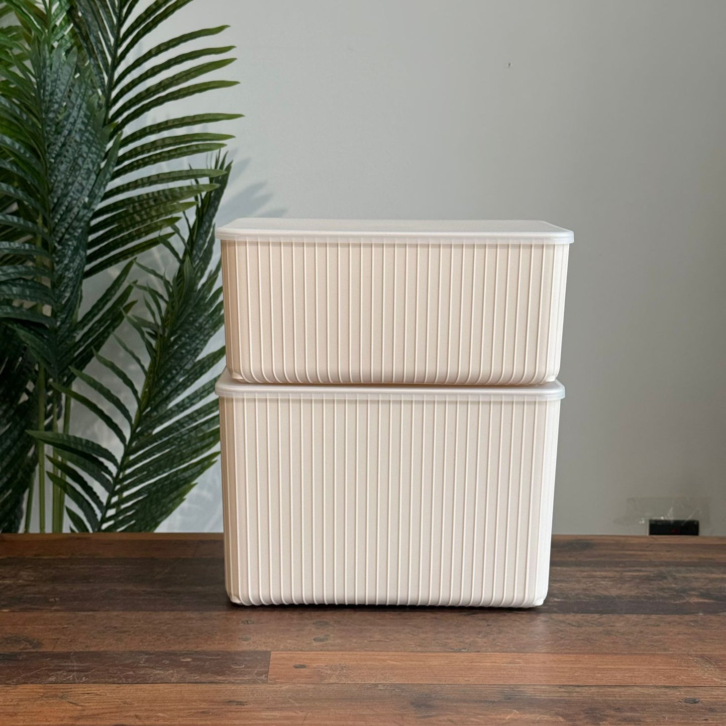 Modern Multi-Purpose Storage Boxes wit Cover