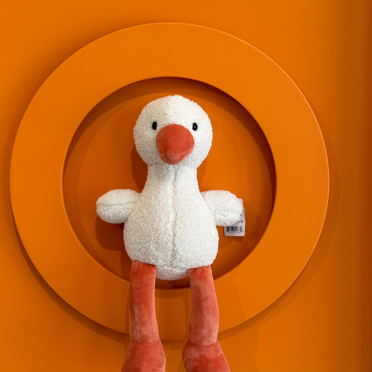 Modern Kids' Wall Art with Removable Plush Toy Holder