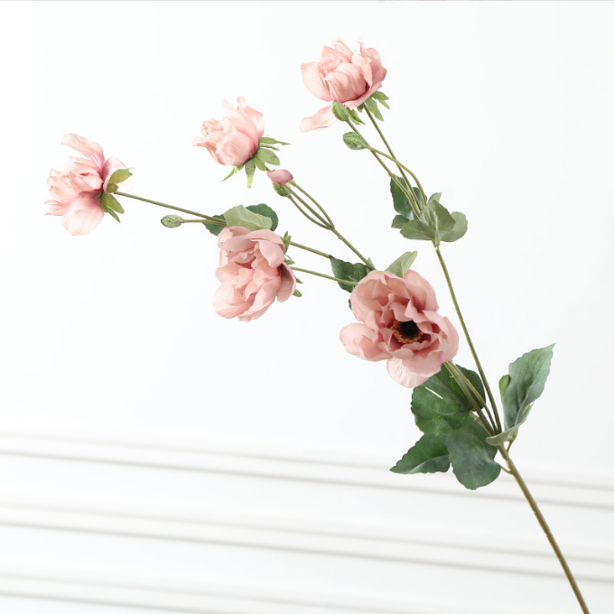 Tree Peony - False Flowers