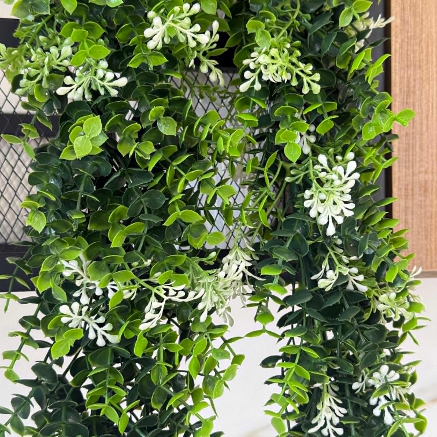 ڕوەکی سپی بلوم – ڕووەکی هەڵواسینی دەستکرد