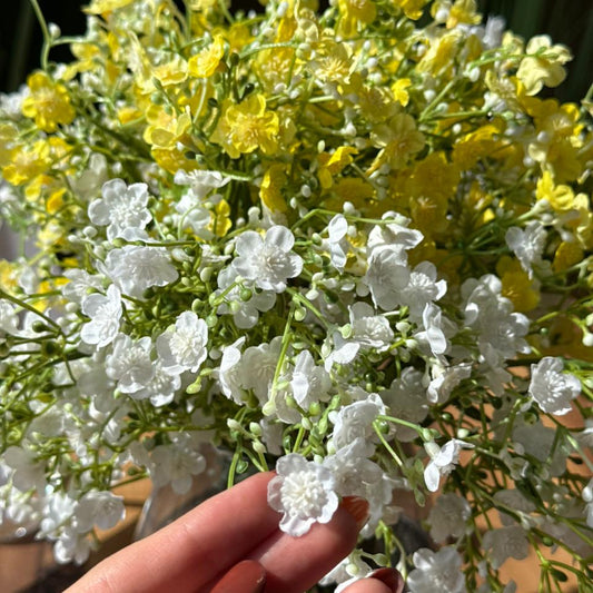 (Gypsophila)  لق گوڵی