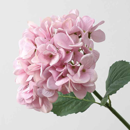 Hydrangea - گوڵی ساختە