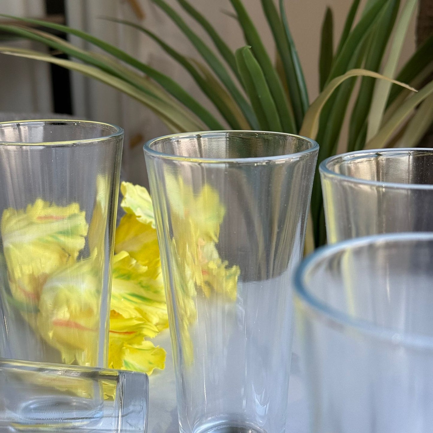 Elegant Minimalist Glassware Collection