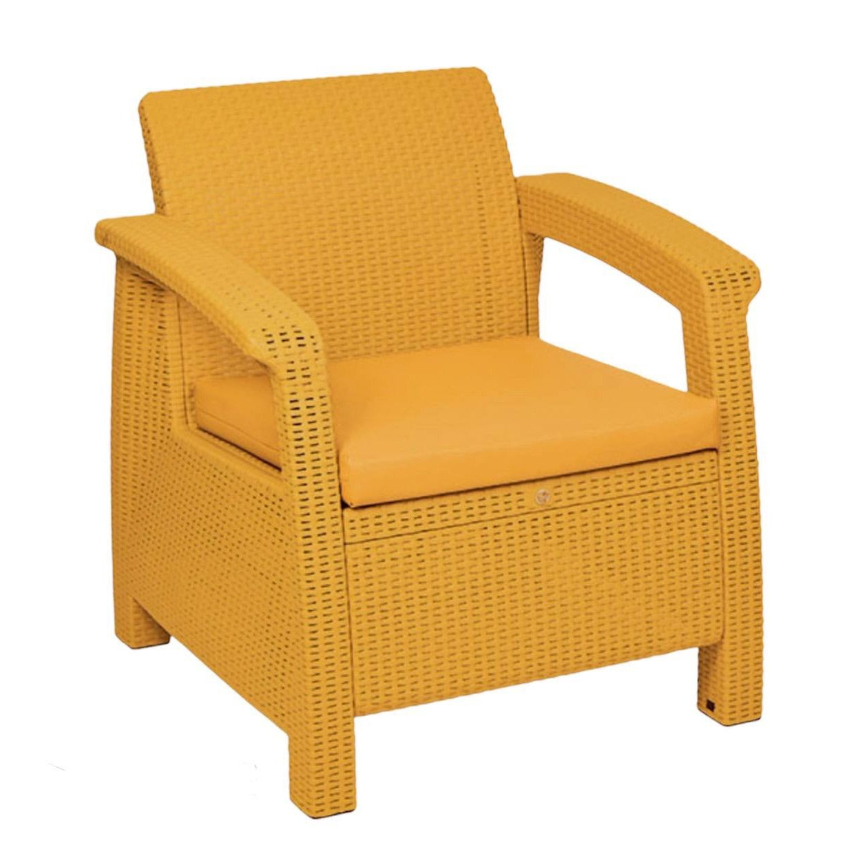 کورسییەکی تاک بە باخچەی مۆدێرن