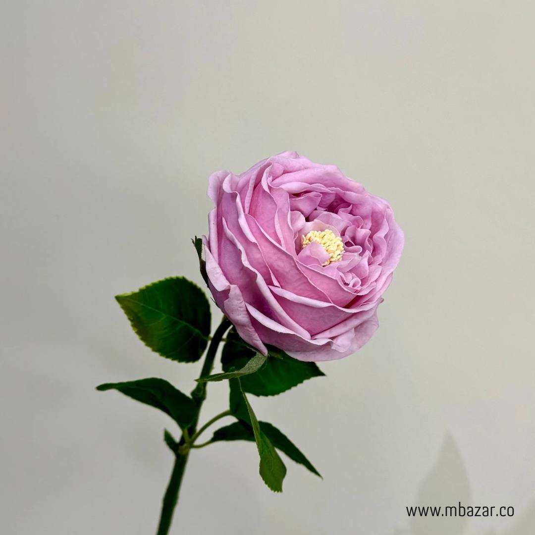 Austin Rose - False Flower