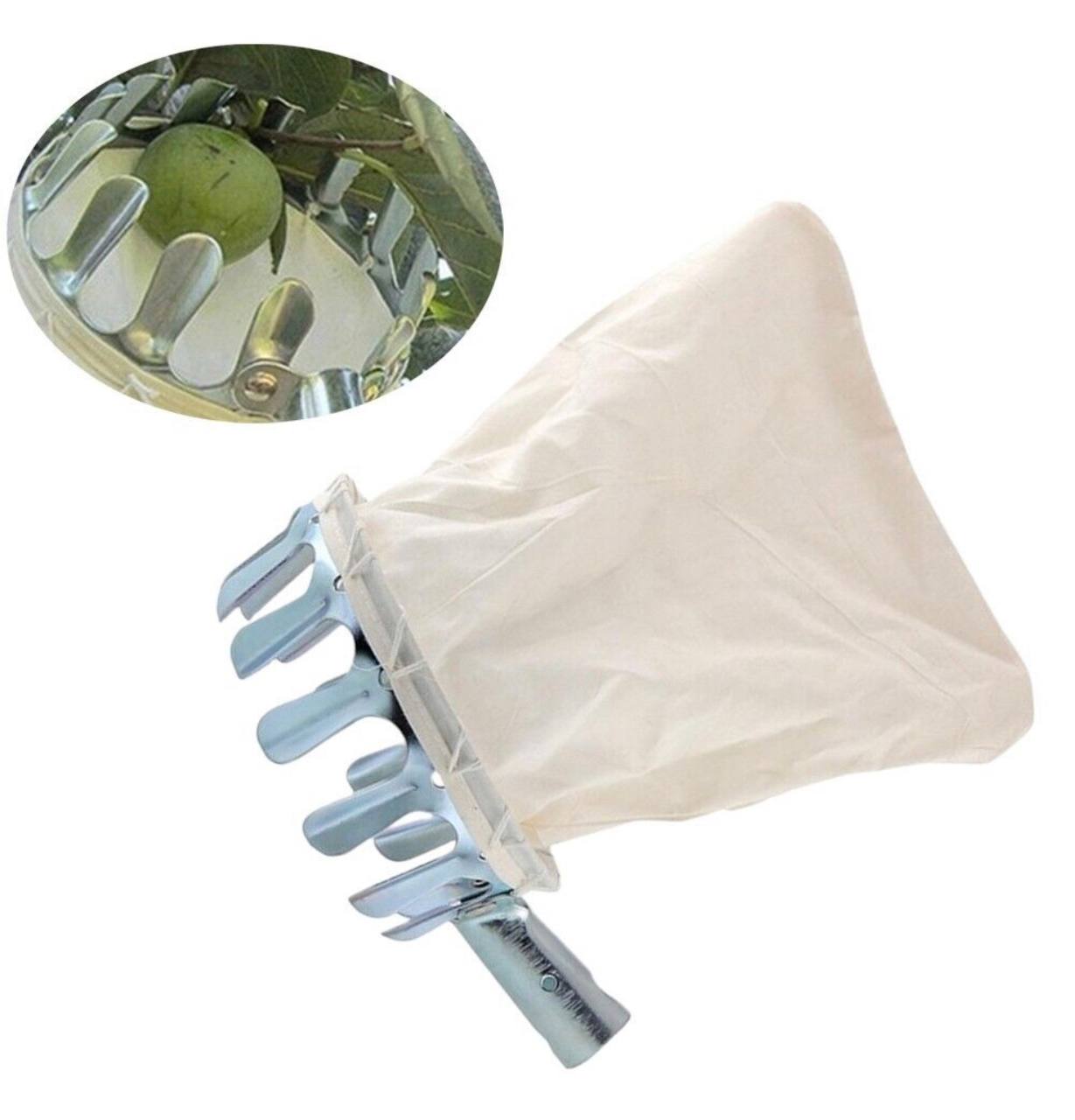 میوە هەڵگری گەورە