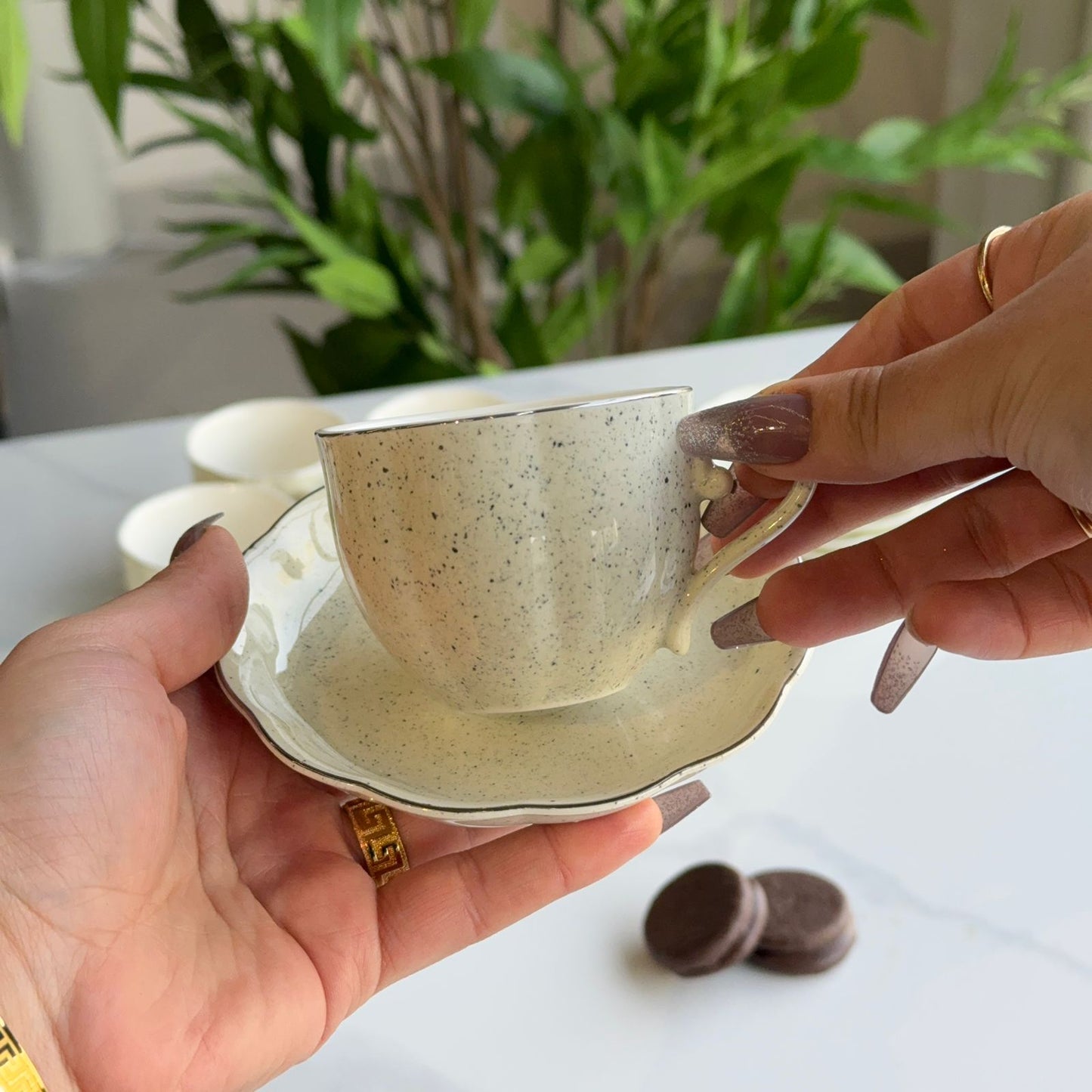 سێتی کوپ و دەفری کلاسیکی ستۆن وێر