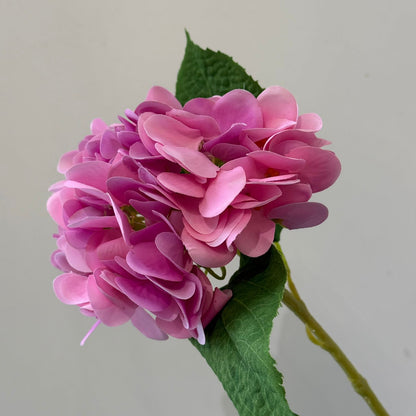 Hydrangea - گوڵی ساختە