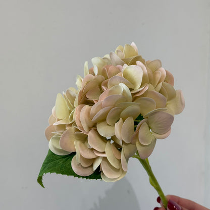 Hydrangea - گوڵی ساختە