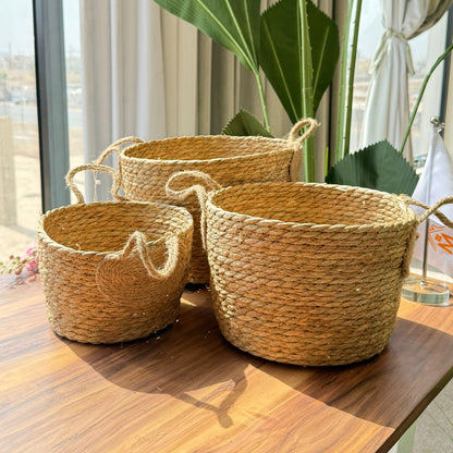 الأعشاب البحرية سلة الانسجام الثلاثي