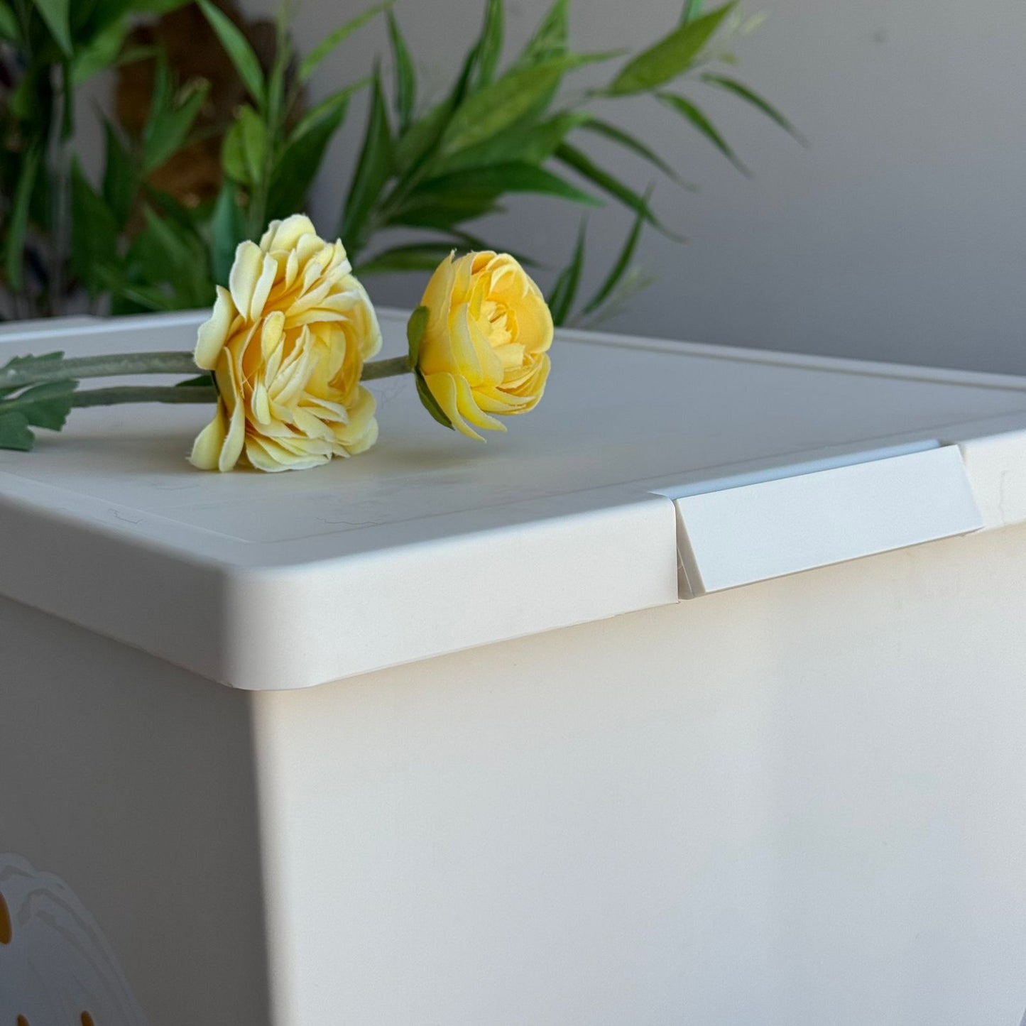 صناديق تخزين متعددة الأغراض - مقاسين