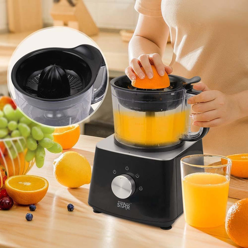 10 in 1 Multifunctional Food Processor Blender