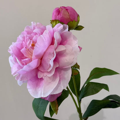 قەدی گوڵی پیۆنی دەستکرد