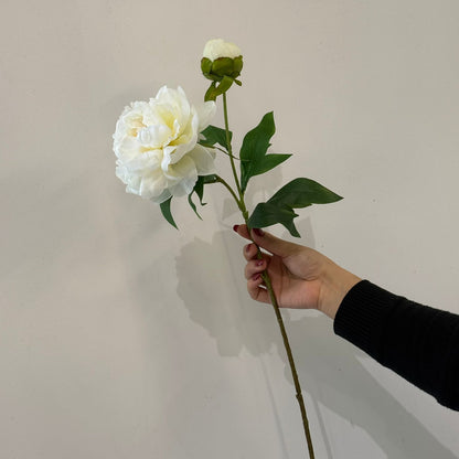 قەدی گوڵی پیۆنی دەستکرد