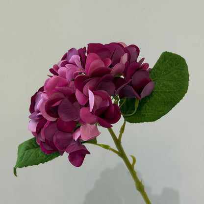 Hydrangea - گوڵی ساختە