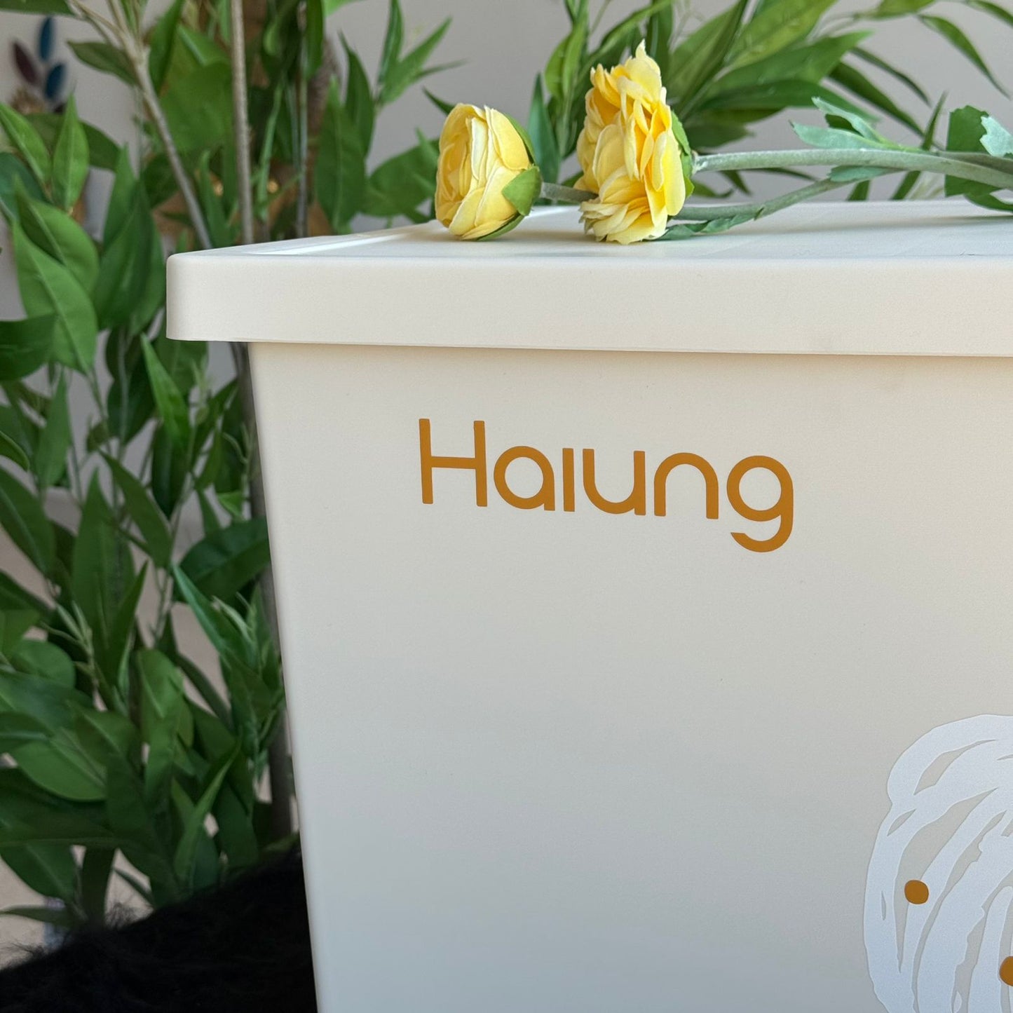 صناديق تخزين متعددة الأغراض - مقاسين