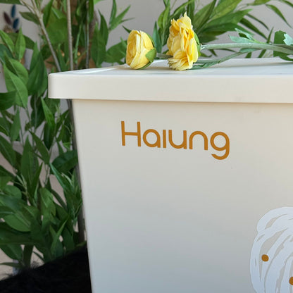 صناديق تخزين متعددة الأغراض - مقاسين