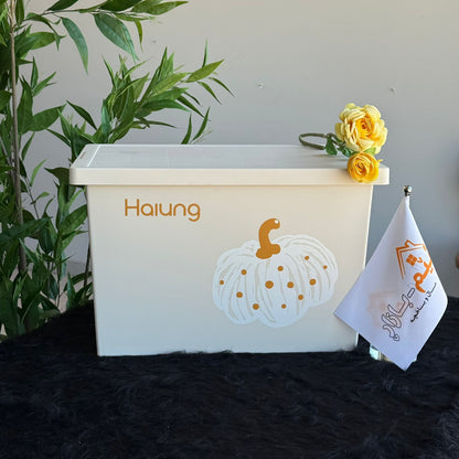 صناديق تخزين متعددة الأغراض - مقاسين