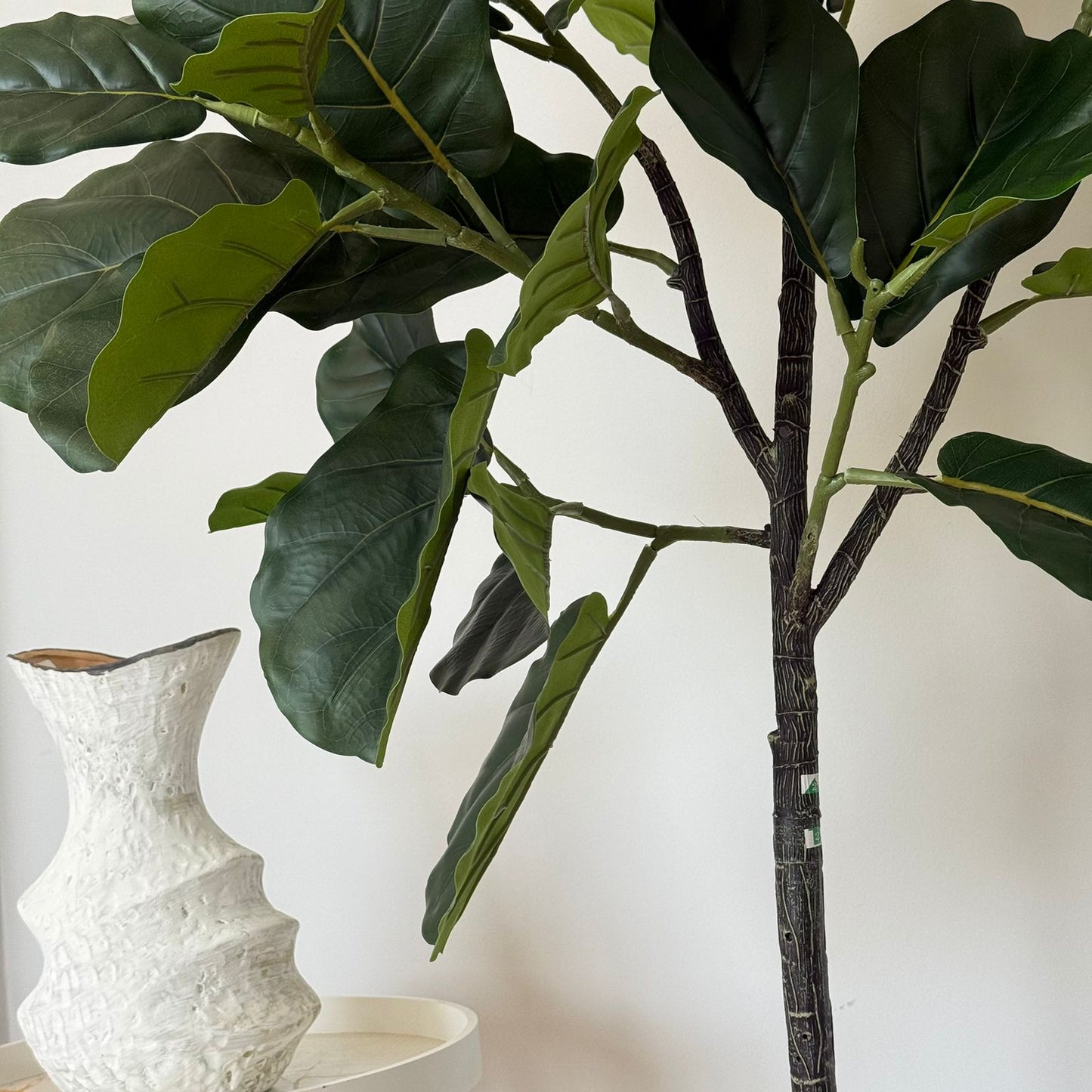 ڕووەکی دەستکردی سەوزی دیکۆرات