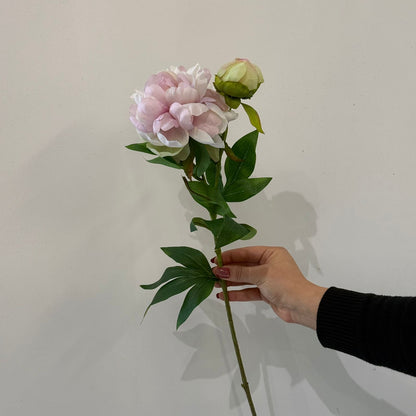 قەدی گوڵی پیۆنی دەستکرد