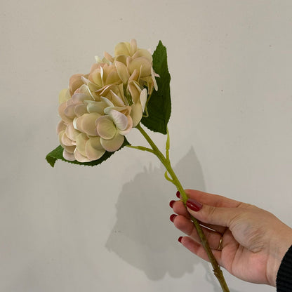 Hydrangea - گوڵی ساختە