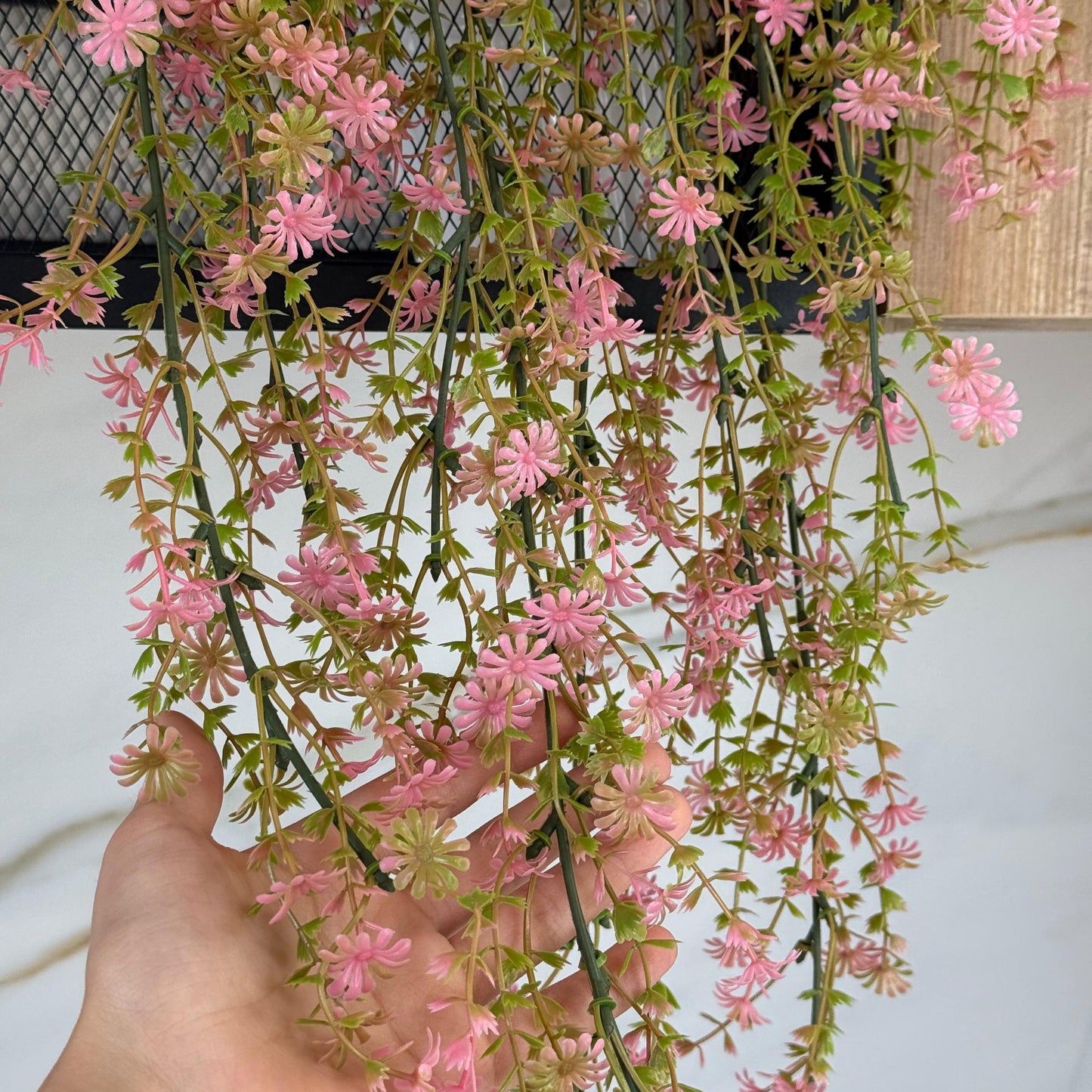 خجول كرمة فرحة - نبات معلق اصطناعي