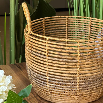 سێتی سەبەتەی هەڵگرتنی ڕاتانی سروشتی 
