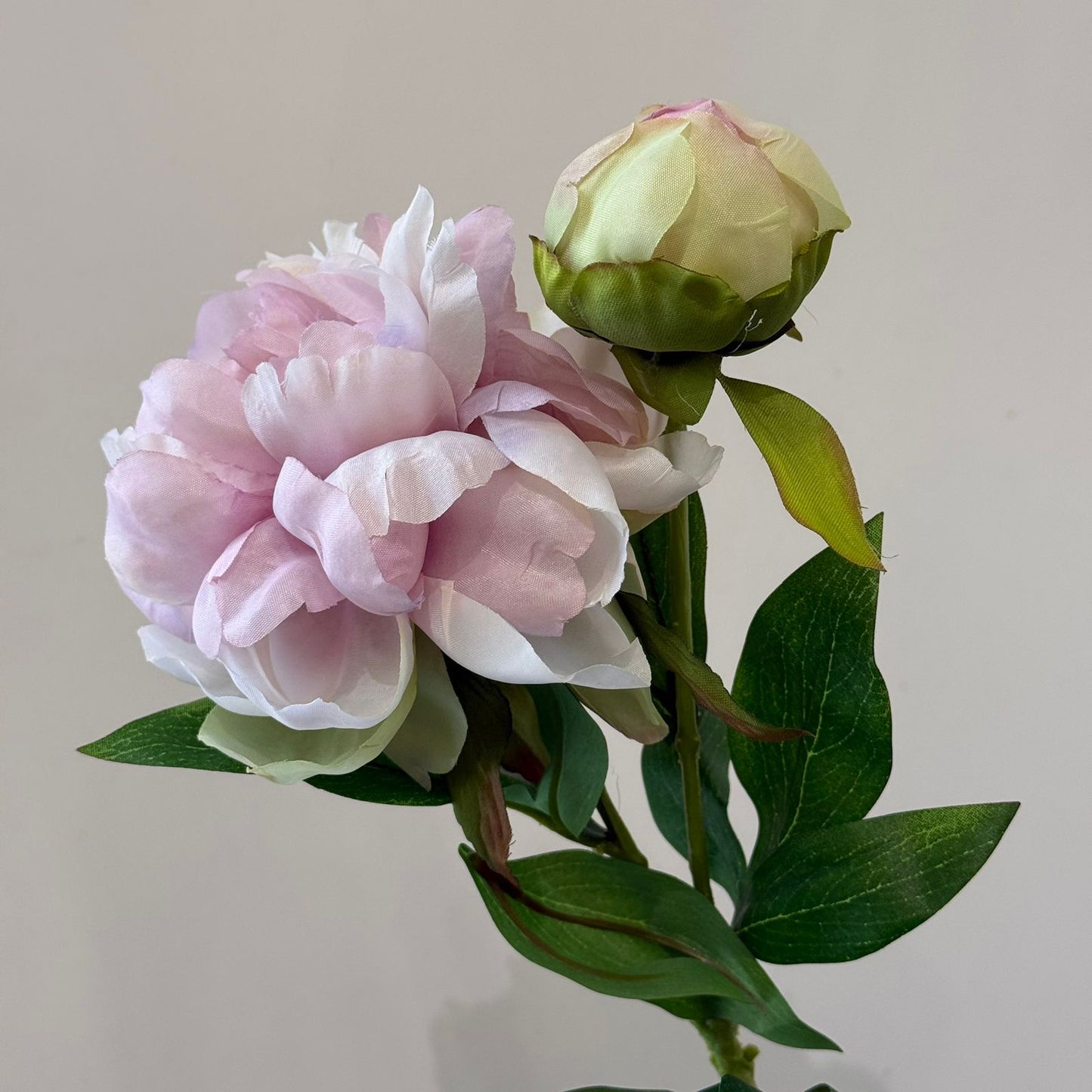 قەدی گوڵی پیۆنی دەستکرد