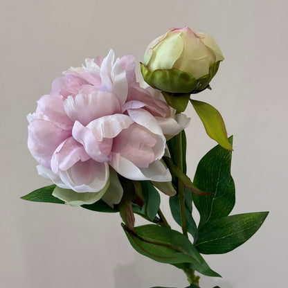 قەدی گوڵی پیۆنی دەستکرد