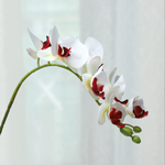 3D Printing 7 Phalaenopsis - False Flowers