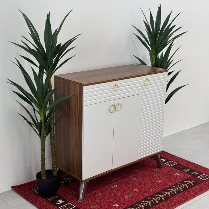 Paniz Woooden Shoe Cabinet