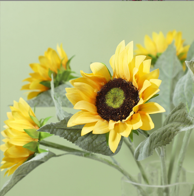 Sunflower - False Flower