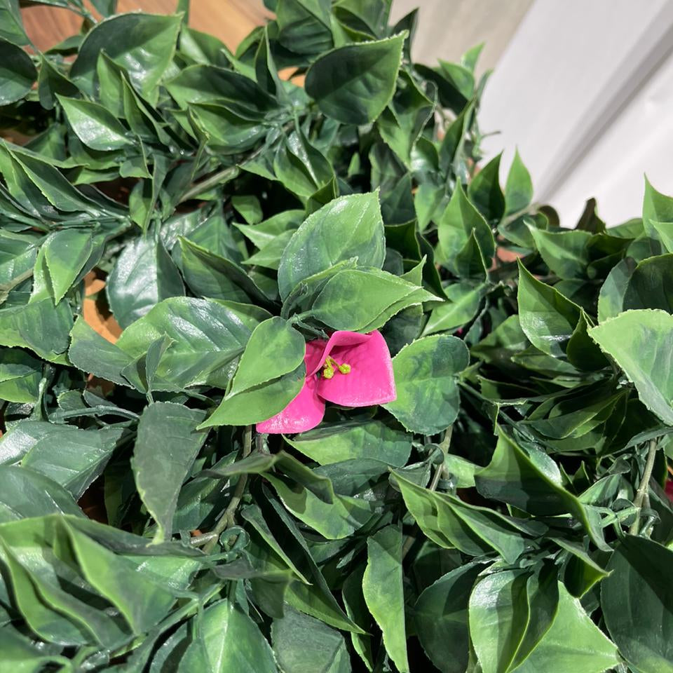Evergreen Beauty Vine - Artificial Floral Vine