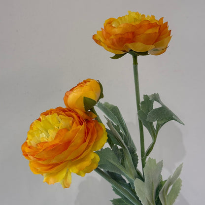 ألف زولو ليان - زهور زائفة