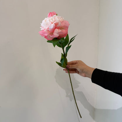 قەدی گوڵی پیۆنی دەستکرد