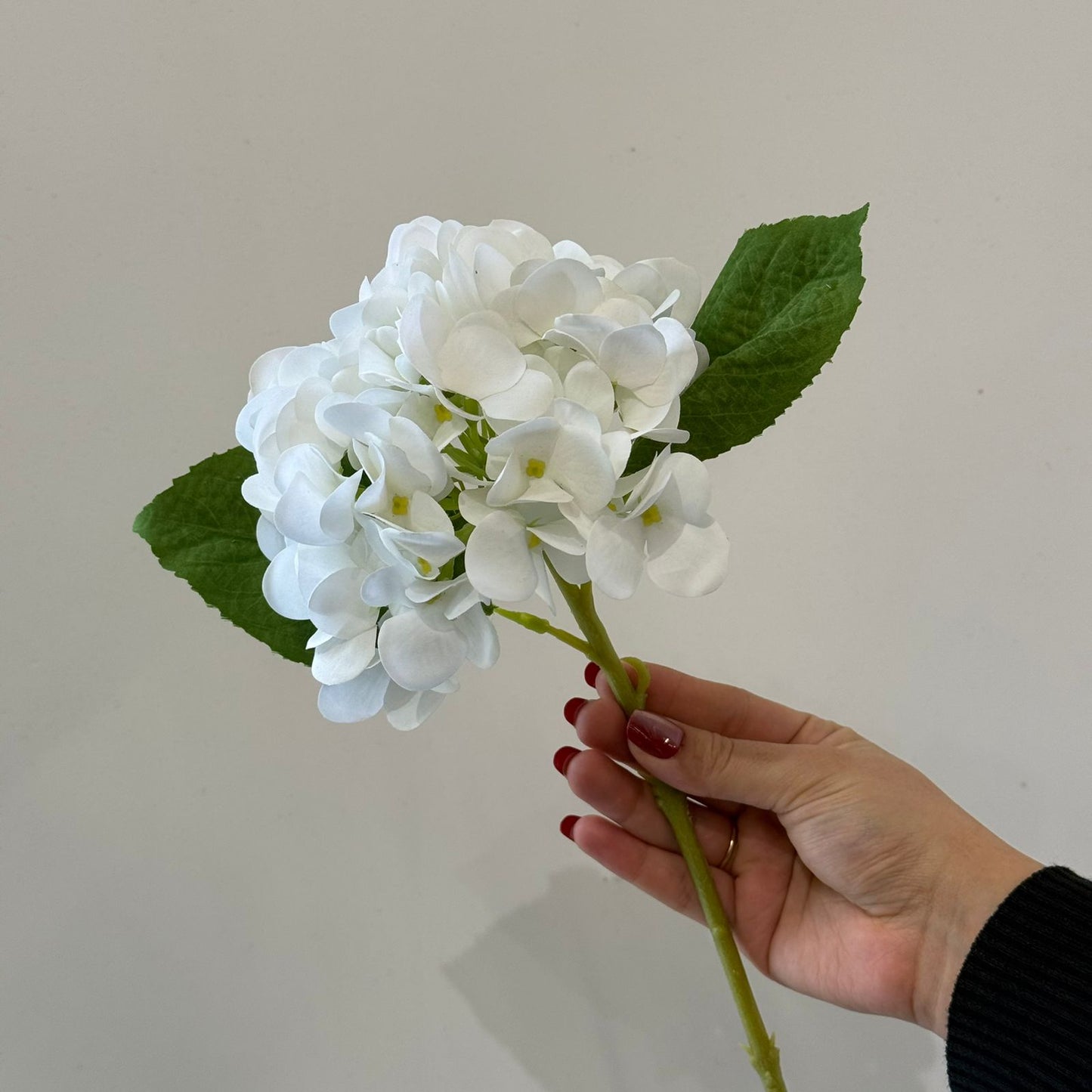 Hydrangea - گوڵی ساختە