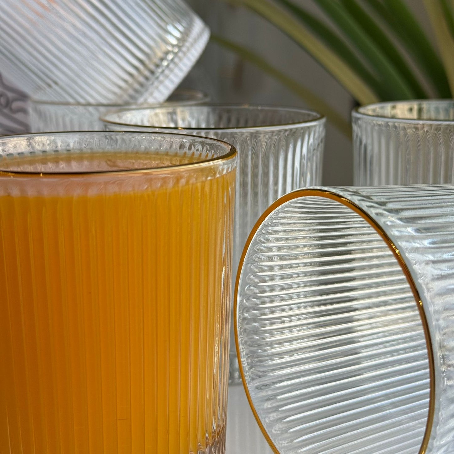 سێت پەرداخی شووشەی مۆدێرن و شیک