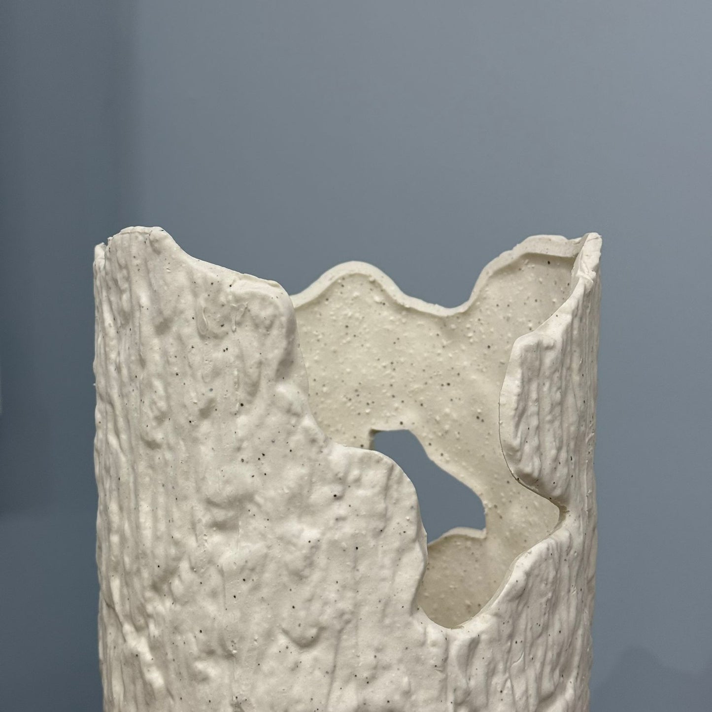 Nature Crave Decorative Vases