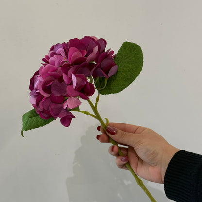Hydrangea - گوڵی ساختە