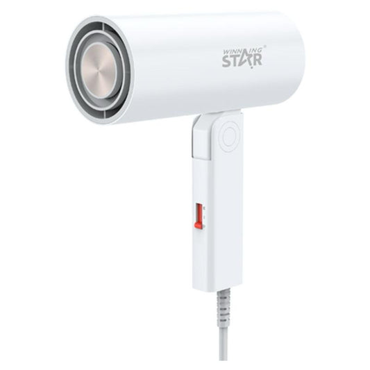 Foldable Hair Dryer