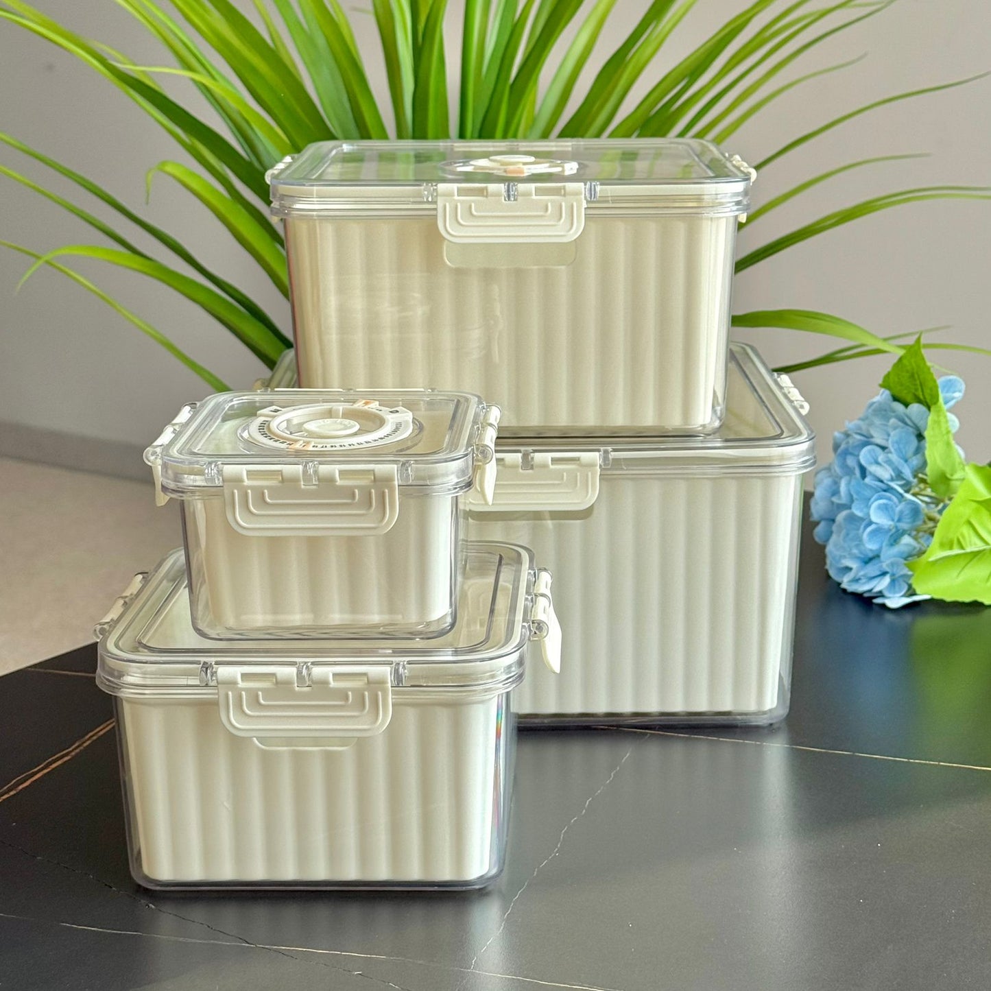 Airtight Multi-Purpose Food Storage Container With Date Dial - Set Of 4