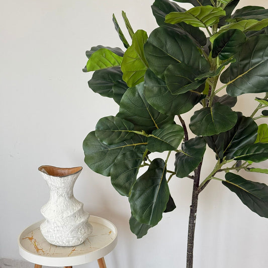 ڕووەکی دەستکردی سەوزی دیکۆرات