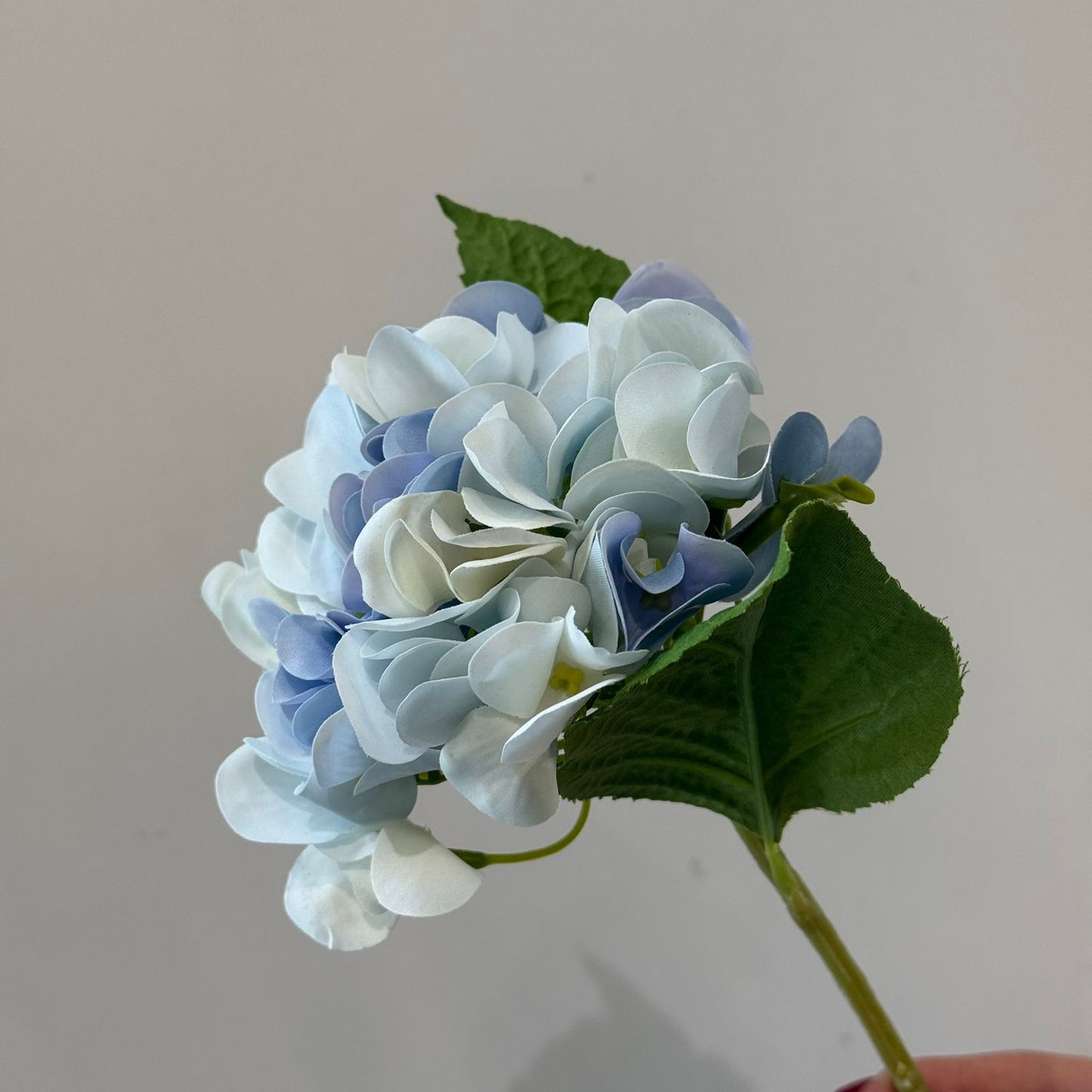 Hydrangea - گوڵی ساختە