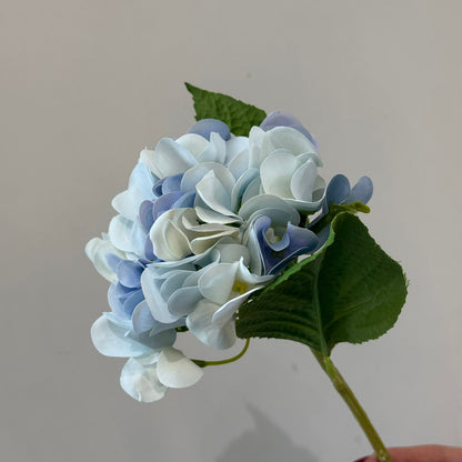 Hydrangea - گوڵی ساختە