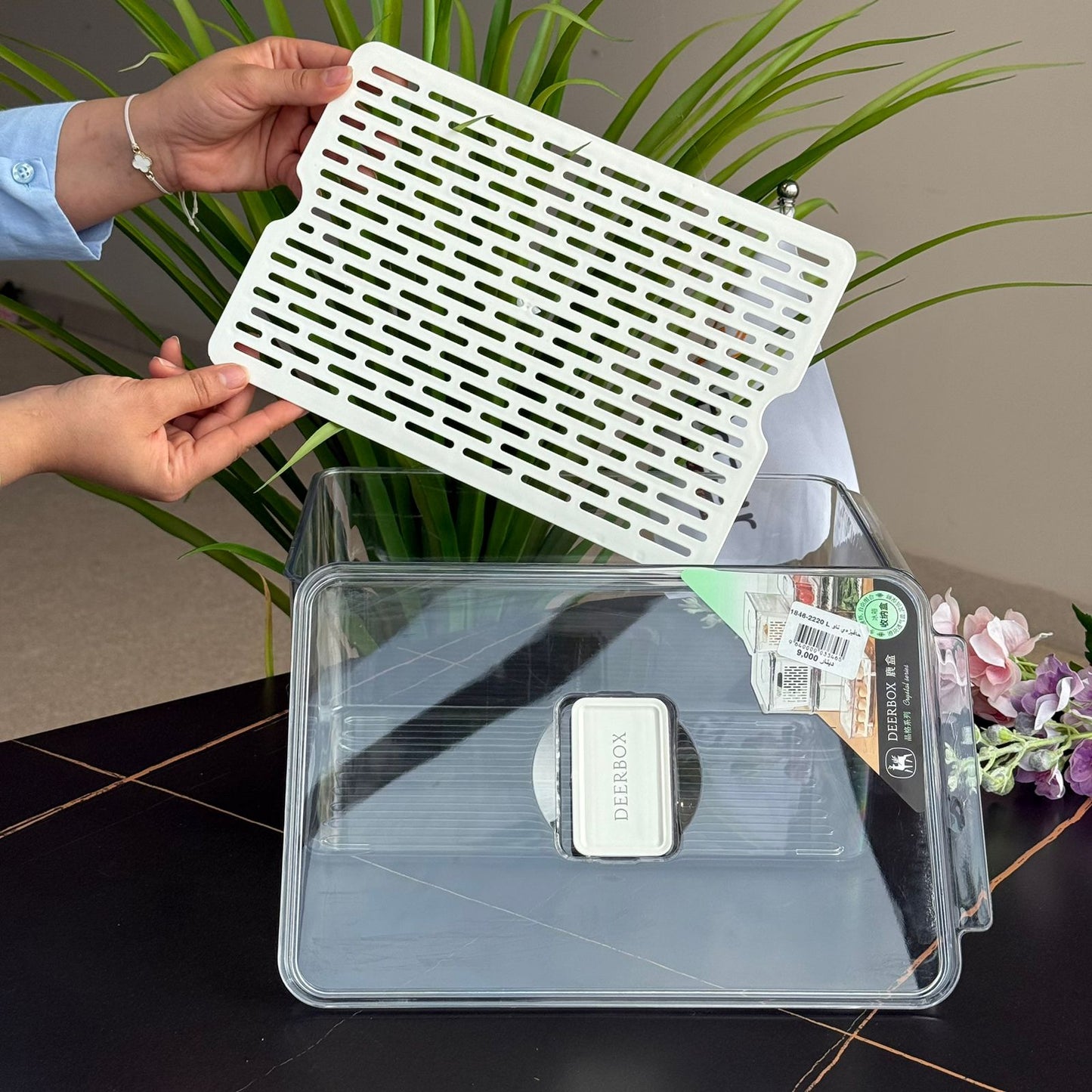 سندوقی هەڵگرتنی ساردکەرەوە لەگەڵ سینی دەرهێنانی لابەر