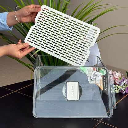 سندوقی هەڵگرتنی ساردکەرەوە لەگەڵ سینی دەرهێنانی لابەر