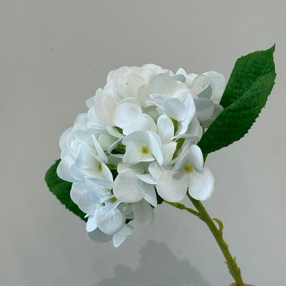 Hydrangea - گوڵی ساختە