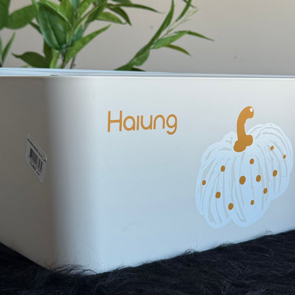 صناديق تخزين متعددة الأغراض - مقاسين